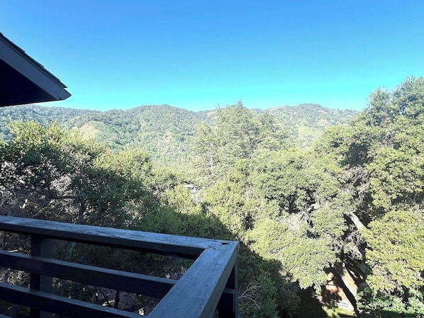 A view from a balcony overlooking a forested mountain landscape.