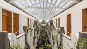 A corridor with a glass ceiling, wooden doors, and greenery. - Hotel Parián (Mexico City)
