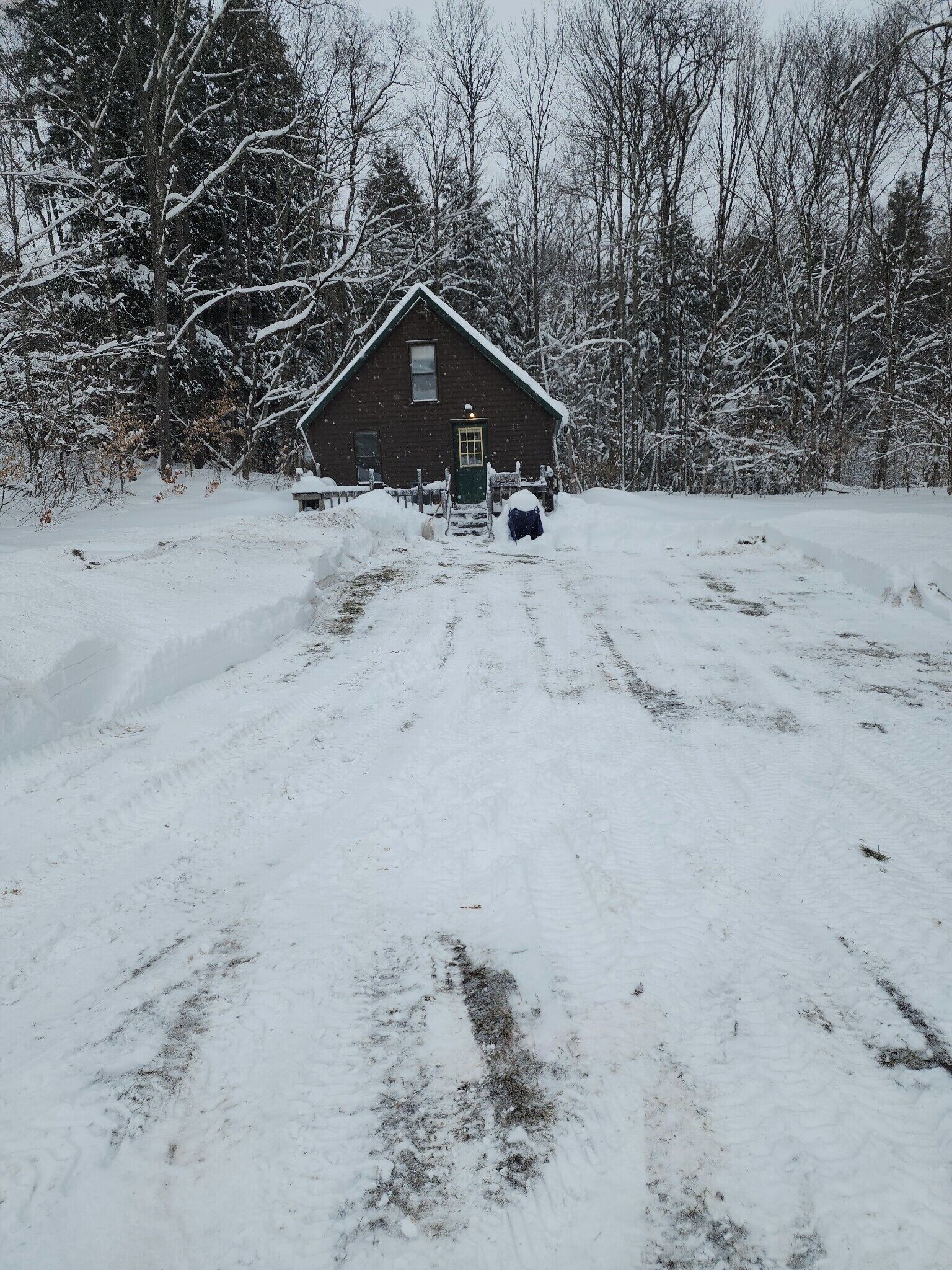 Een besneeuwd landschap met een houten blokhut en een slede.