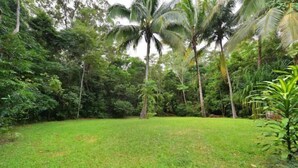 A lush green lawn with tall palm trees and dense foliage in the background. - Wait-a-While Eco Retreat (Cow Bay)