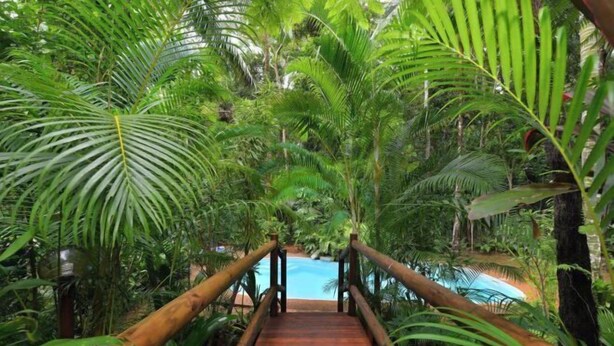 A wooden pathway leading to a pool surrounded by lush tropical foliage. - Wait-a-While Eco Retreat (Cow Bay)