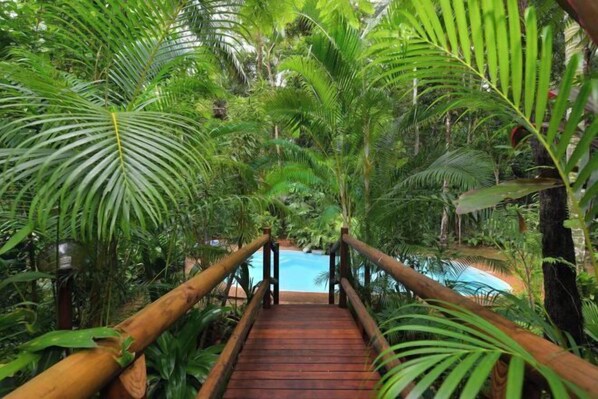 Interior - Wait-a-While Eco Retreat (Cow Bay)