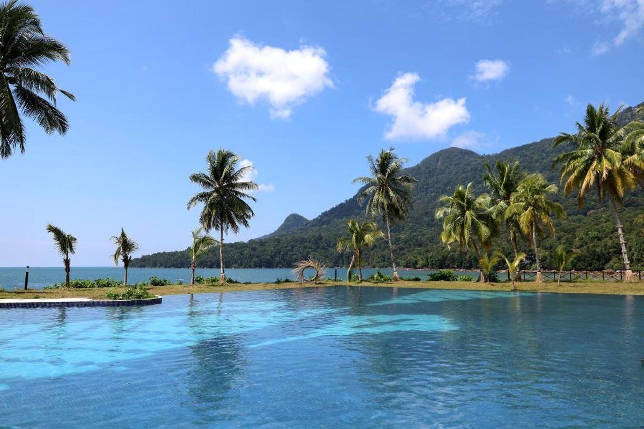 A clear pool with a view of a mountainous landscape and palm trees.