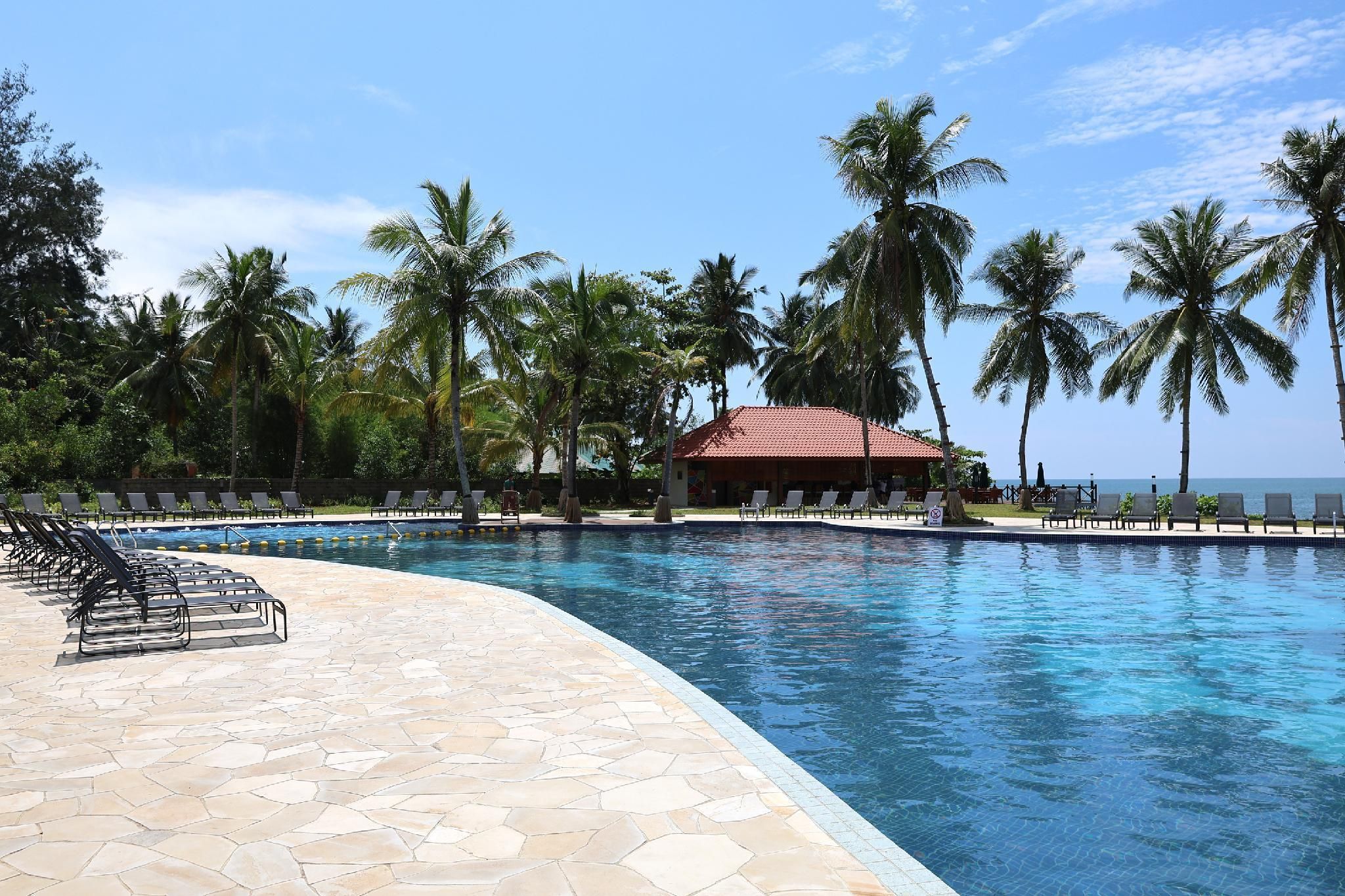 A swimming pool with lounge chairs and palm trees.