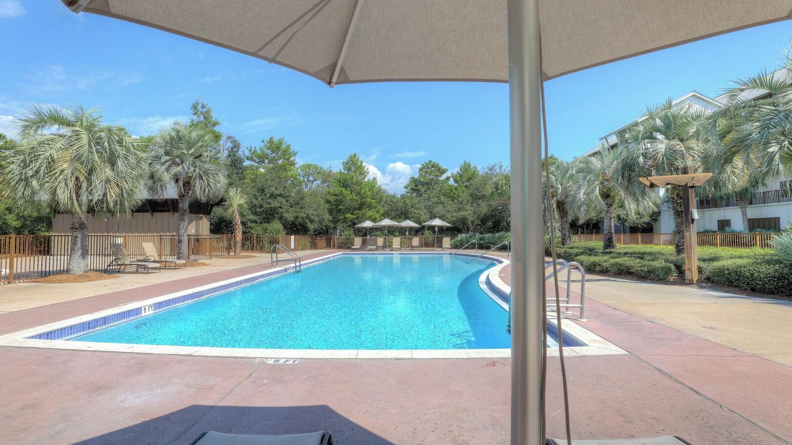 A swimming pool with a clear blue water, surrounded by palm trees and a fence.