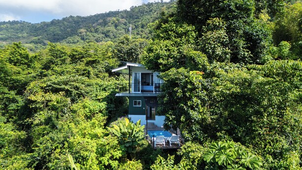 A modern two-story house surrounded by dense forest, with a swimming pool and outdoor seating area.