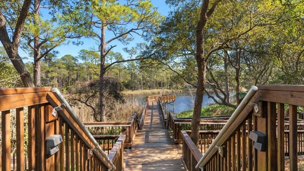 A wooden boardwalk leading through a forested area with a body of water in the background.