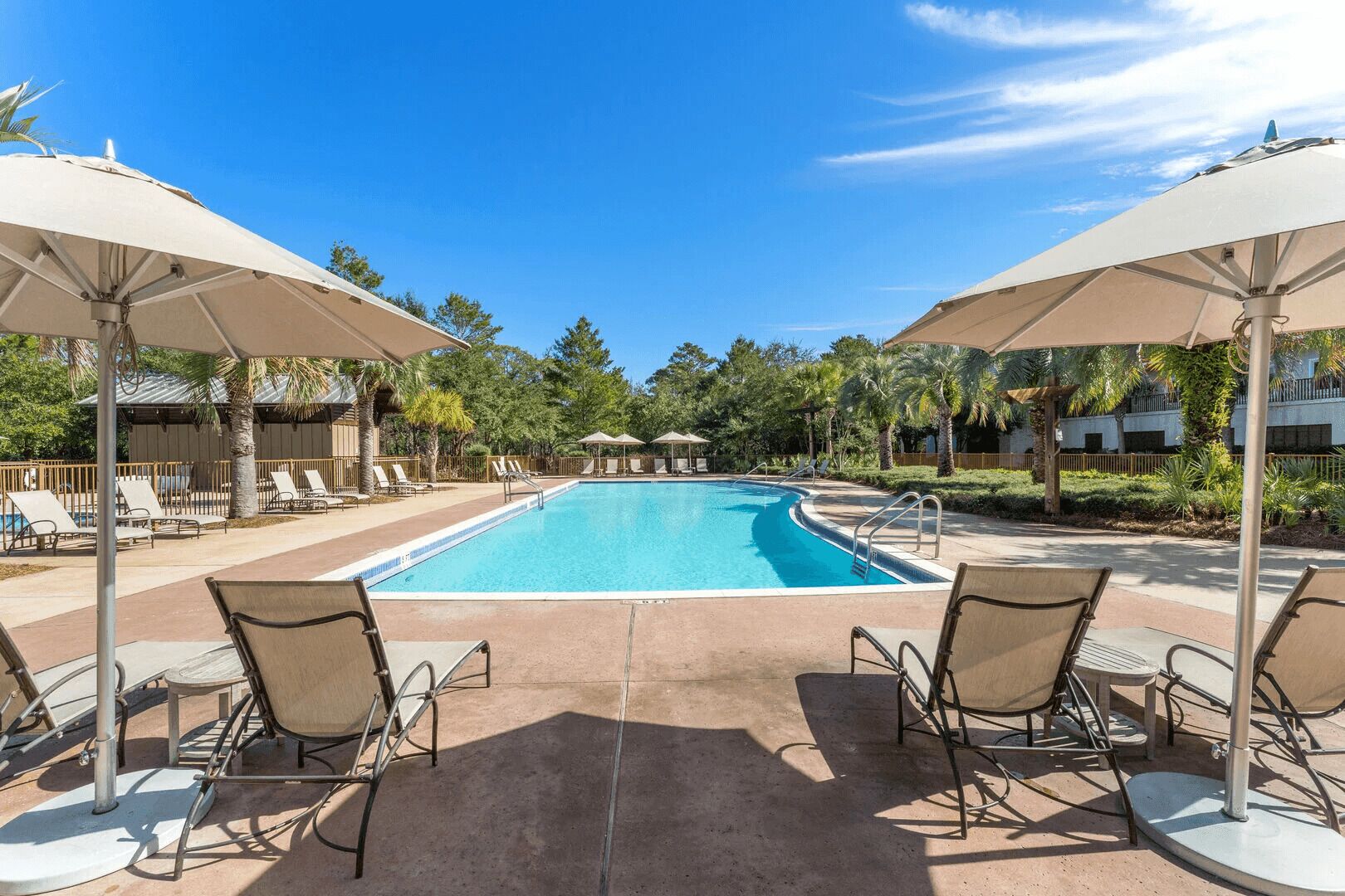 A swimming pool with lounge chairs and umbrellas, surrounded by palm trees and a clear sky.