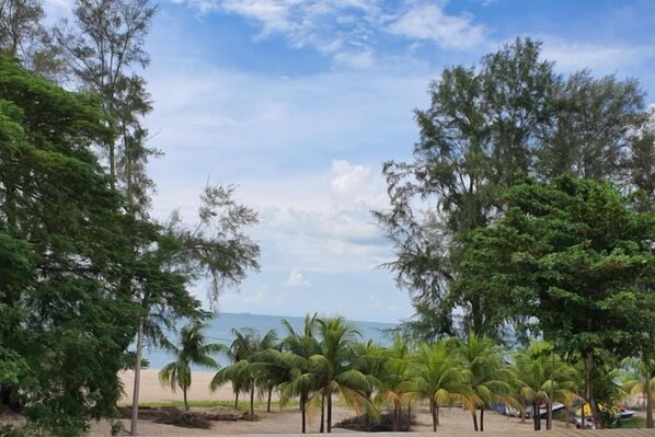 A beach with palm trees and a clear sky.