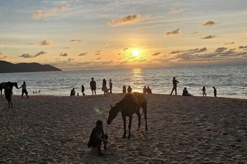 By the Sea Beach Luxury Resort - Batu Ferringhi