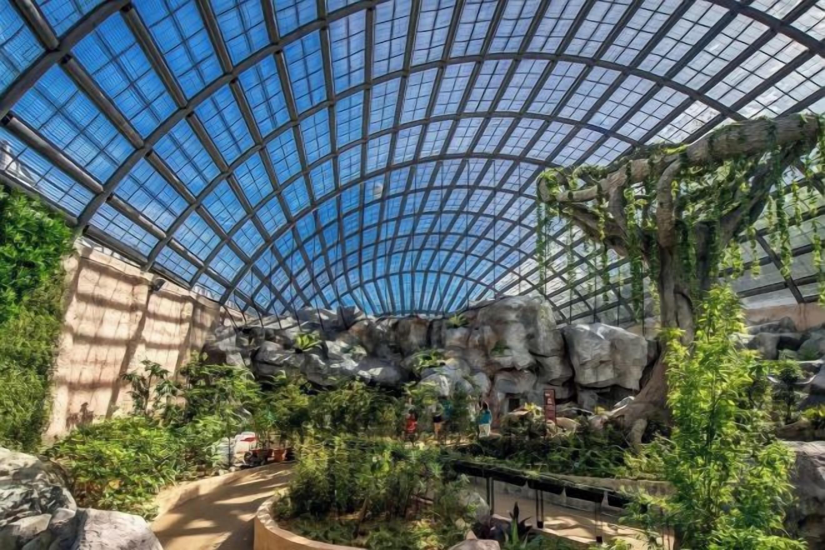 A large indoor space with a high ceiling and a glass dome structure.