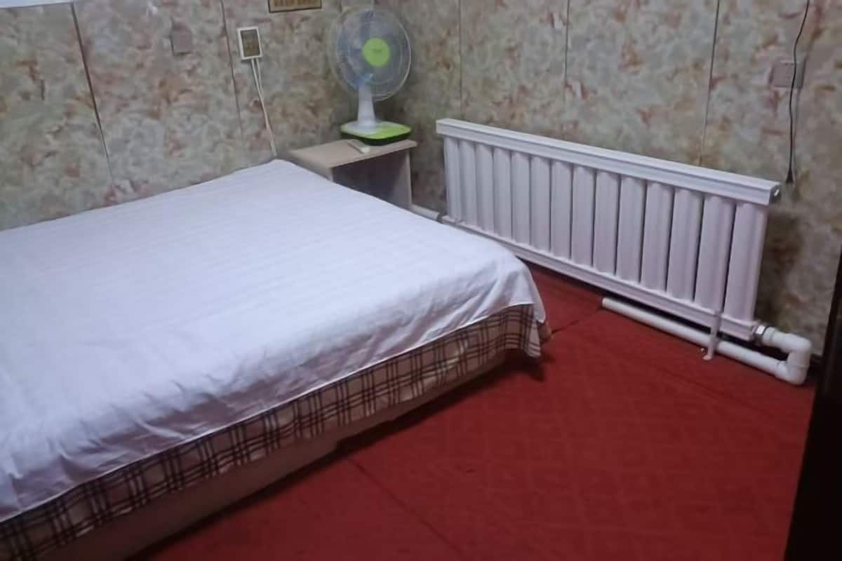 A room with a bed, a radiator, a fan, and a red carpet.