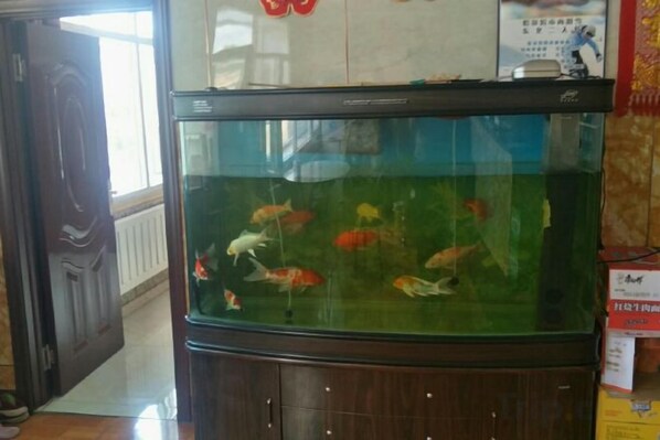 Un acuario con diversos peces, un mueble de madera debajo y una puerta a la izquierda.