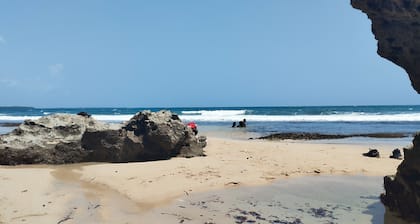 Serene villa on Wasini island, mkwiro village pet friendly