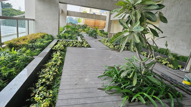 A modern indoor walkway with a wooden floor, surrounded by various green plants and a concrete wall. - Luxury condo with gym,WiFi,NETFLIX at Park Mckinley West, Venice, SM Aura BGC (Taguig)