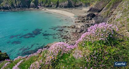 Druidston Cottage, Holiday Cottage St Davids, Sleeps 4, 3 bedrooms, bathrooms