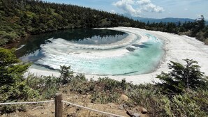 A natural hot spring surrounded by forest. - Cottage Alice (Hachimantai)