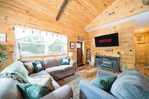 Smart TV, chimenea y libros 