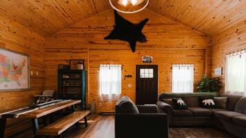 Smart TV, fireplace, books