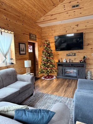 Smart TV, fireplace, books