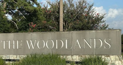 Cozy townhome in The Woodlands