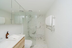 Douche, séchoir à cheveux, serviettes fournies, shampooing