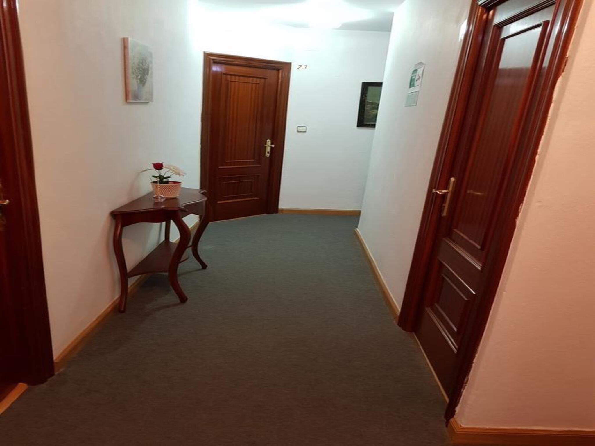 A narrow hallway with a wooden door at the end, a small table with a vase of flowers, and a carpeted floor.