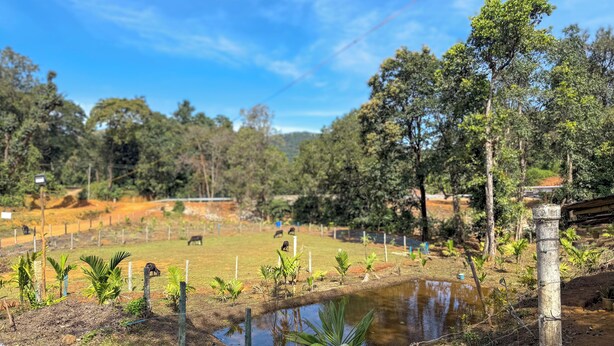 A rural landscape with a fenced pasture, a small pond, and trees. - Kodachadri Pathalagere Homestay (Hosanagara)