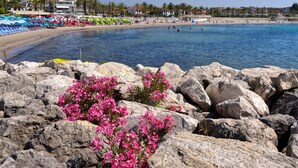 Une plage avec de gros rochers au premier plan, une zone de plage sablonneuse et des palmiers en arrière-plan.