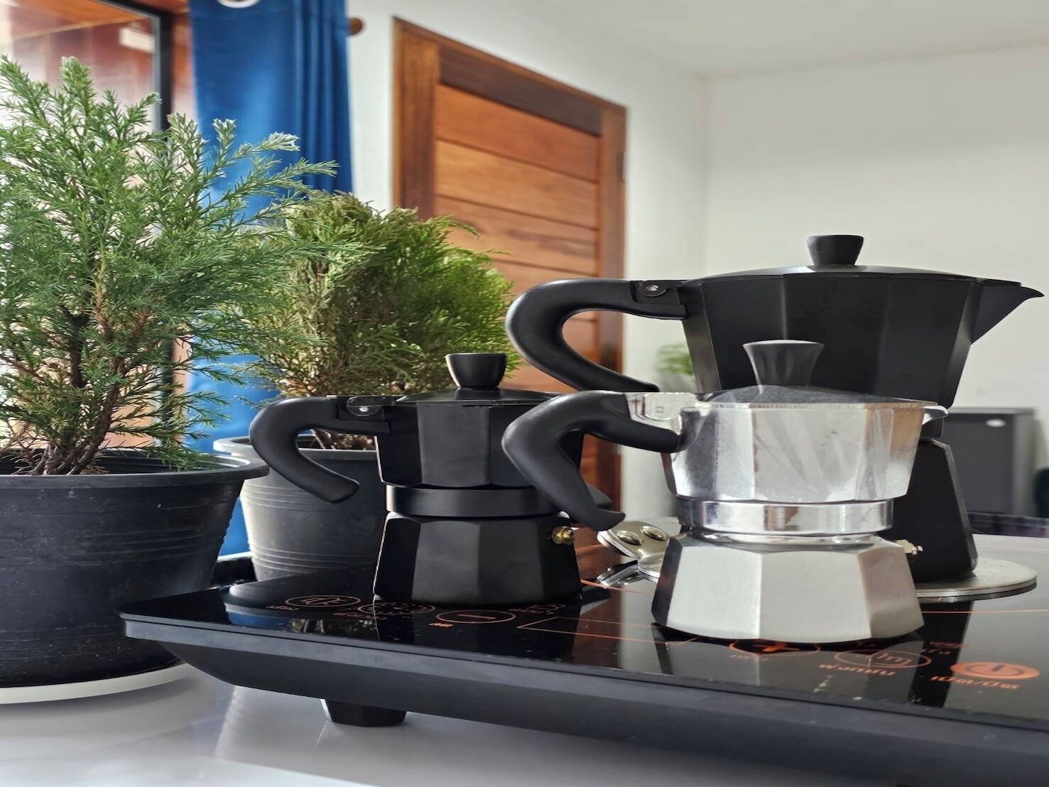 A kitchen counter with a coffee maker, a kettle, and a potted plant.