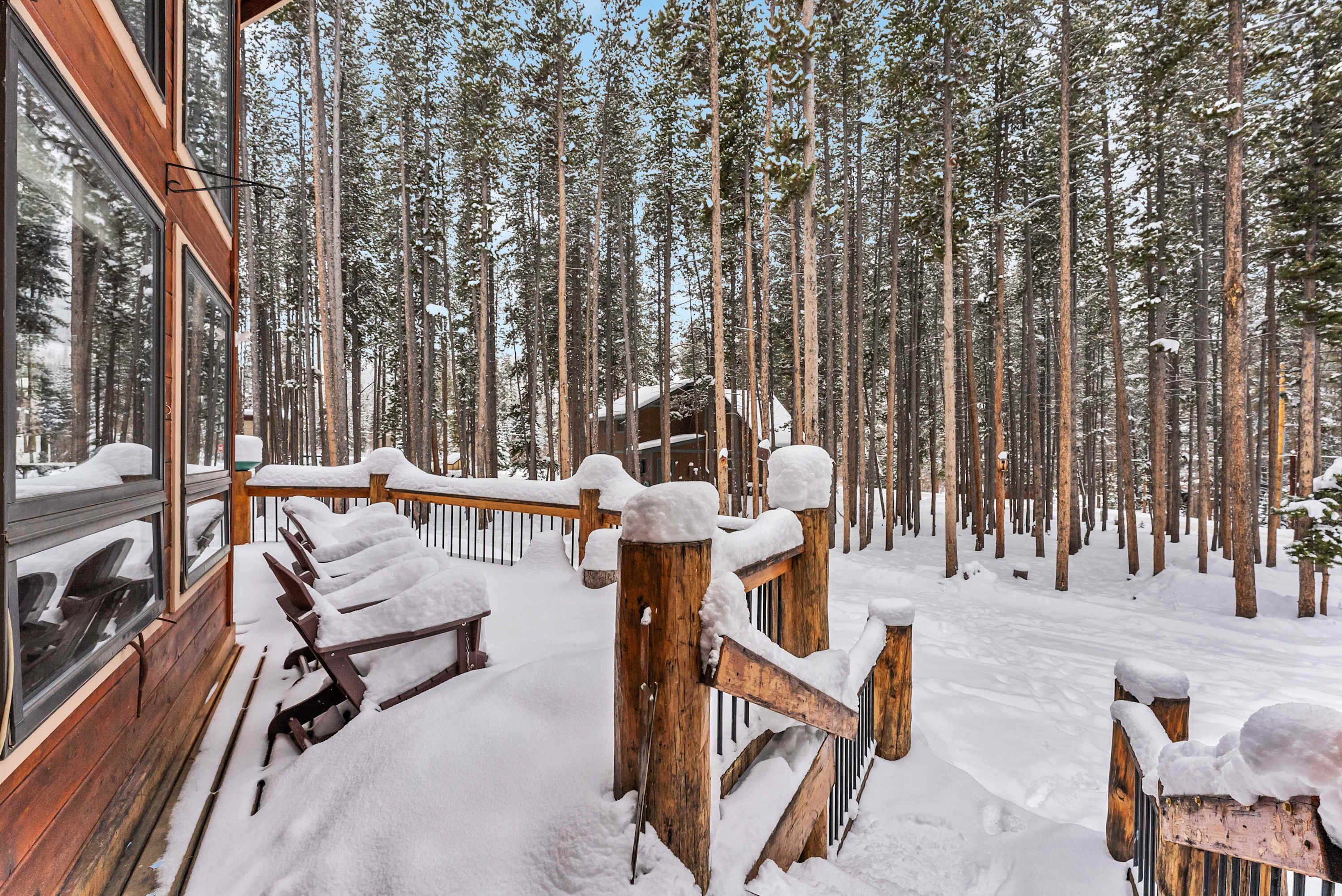 Een houten terras met sneeuwbedekte reling en banken, omringd door hoge dennenbomen.