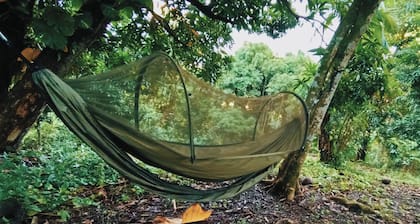 Tropical Rain For Us: Eco OffGrid Retreat Venue with WiFi - Airy Castle, Jamaica