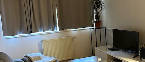 Apartment (One Bedroom Apartment) | Living room