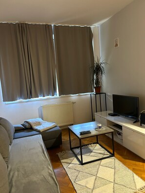 Un saló modern amb un sofà, una taula de centre, una televisió i una planta en test.
