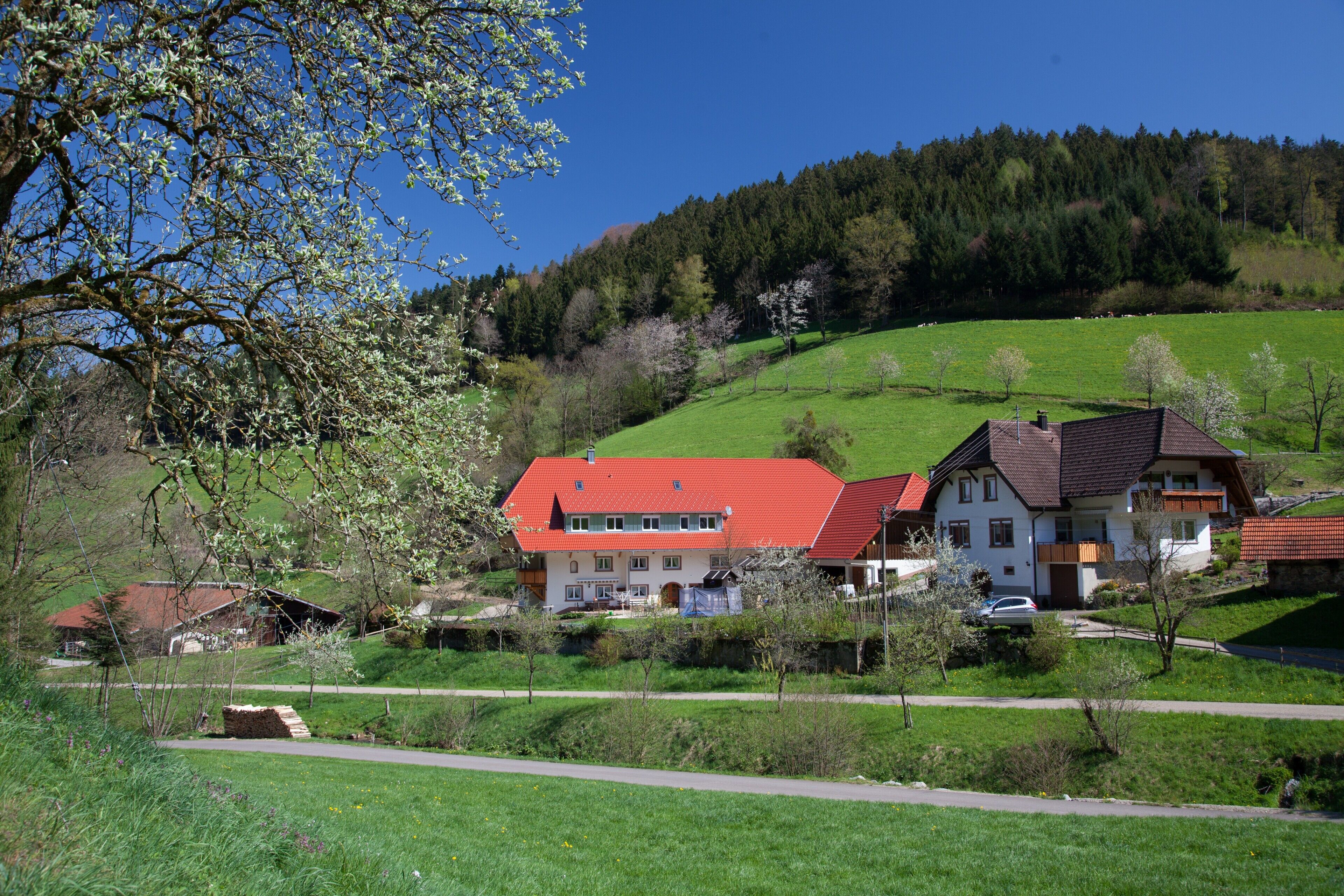 Une maison de campagne avec un toit rouge, entourée de champs verdoyants et d’arbres.
