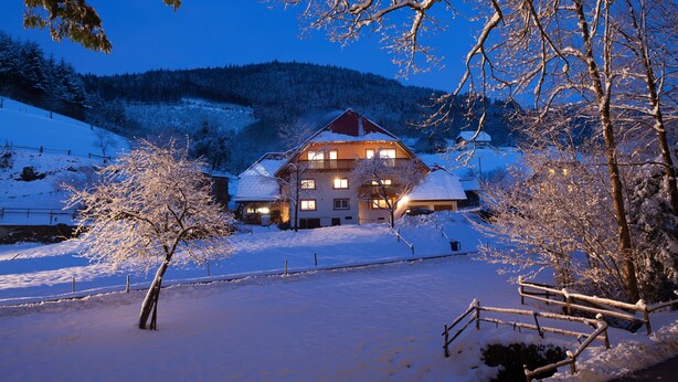 A snow-covered landscape with a house and trees.