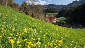 A rural landscape with a field of yellow flowers, a house with a red roof, and a mountain in the background.