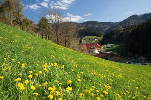 Property grounds - 'Gästezimmer Hörnlebergblick' with Shared Terrace, Garden and Wi-Fi (Winden im Elztal)