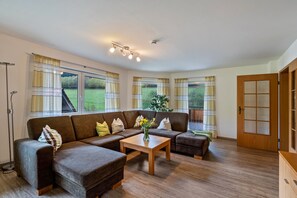 TV, lareira, mesa de pingue-pongue