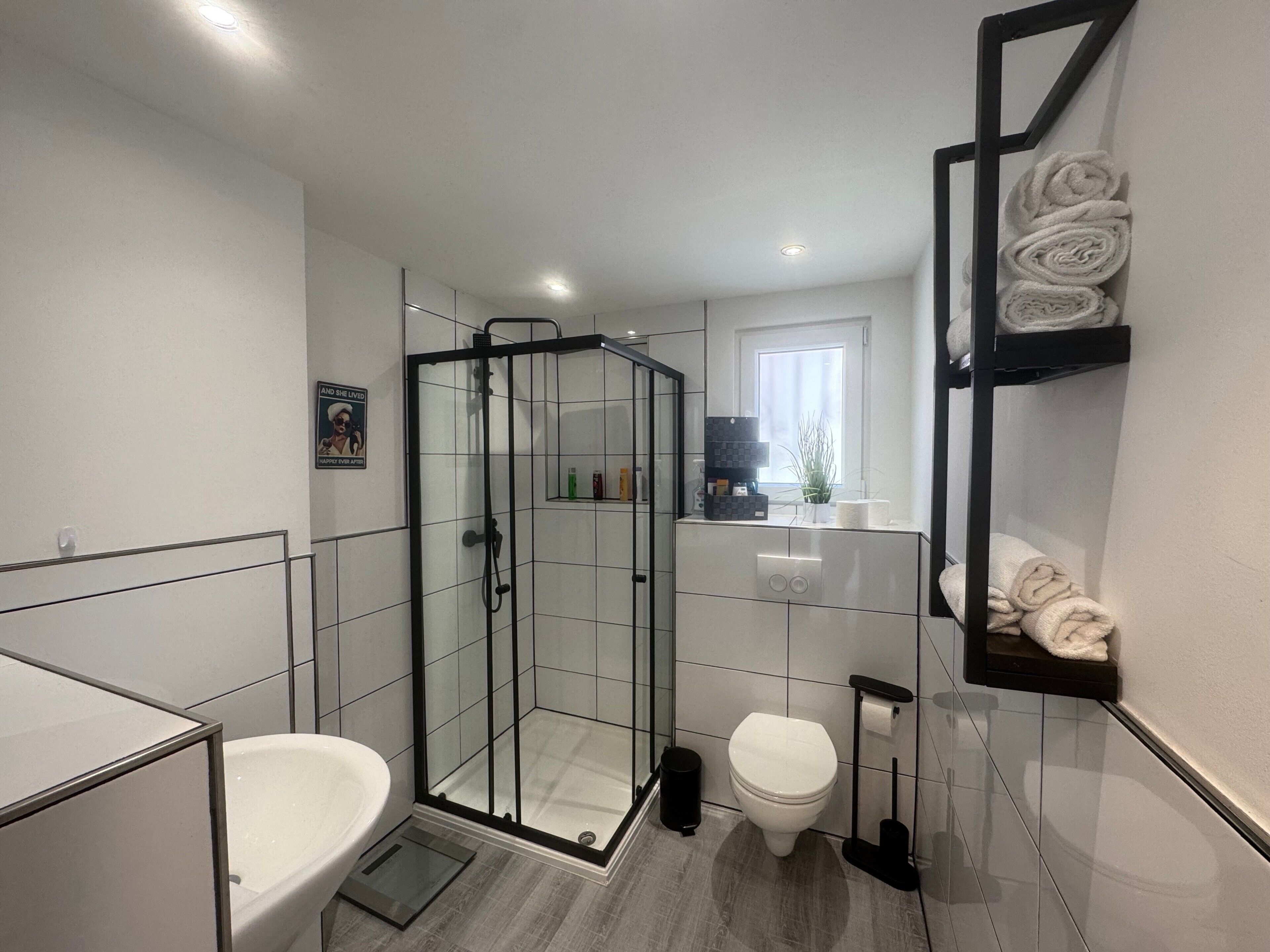 Shower, hair dryer, towels