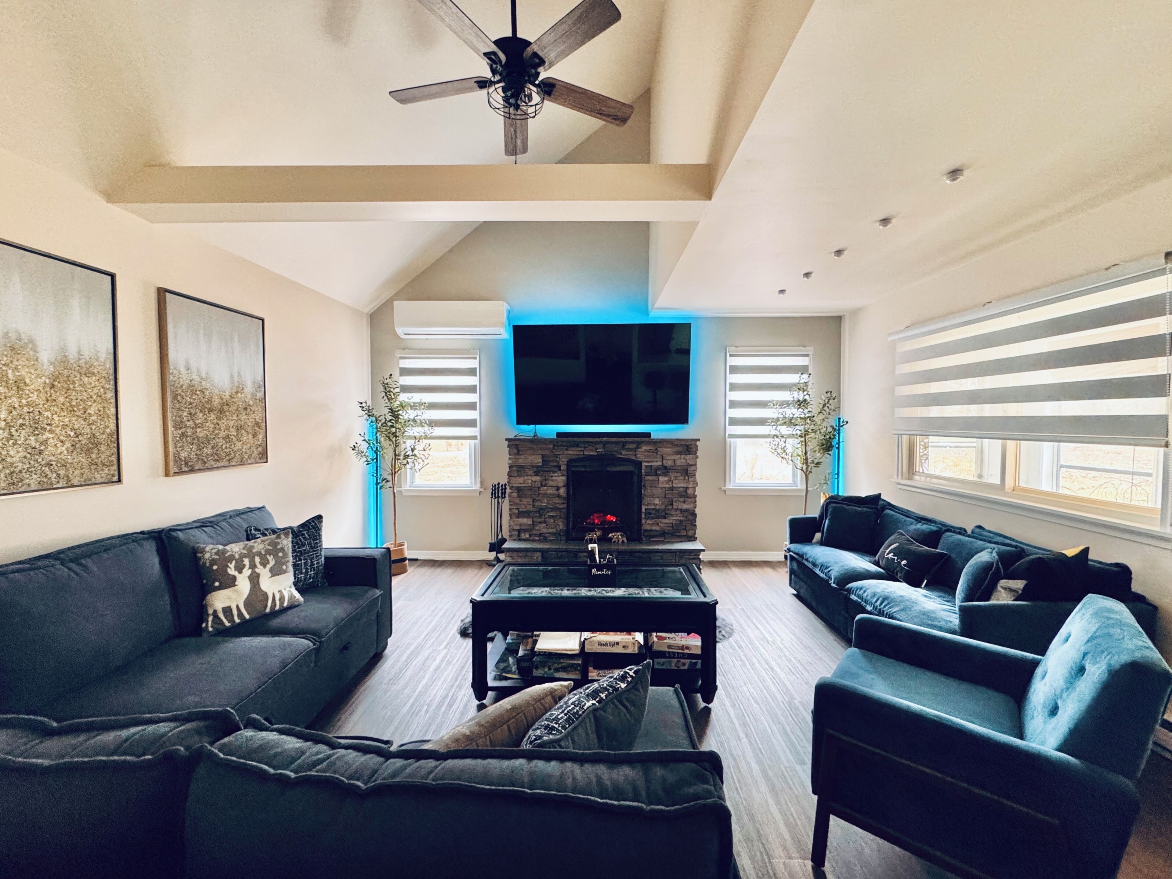 Älytelevisio, takka, kirjoja