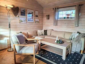 Télévision, cheminée, lecteur de DVD