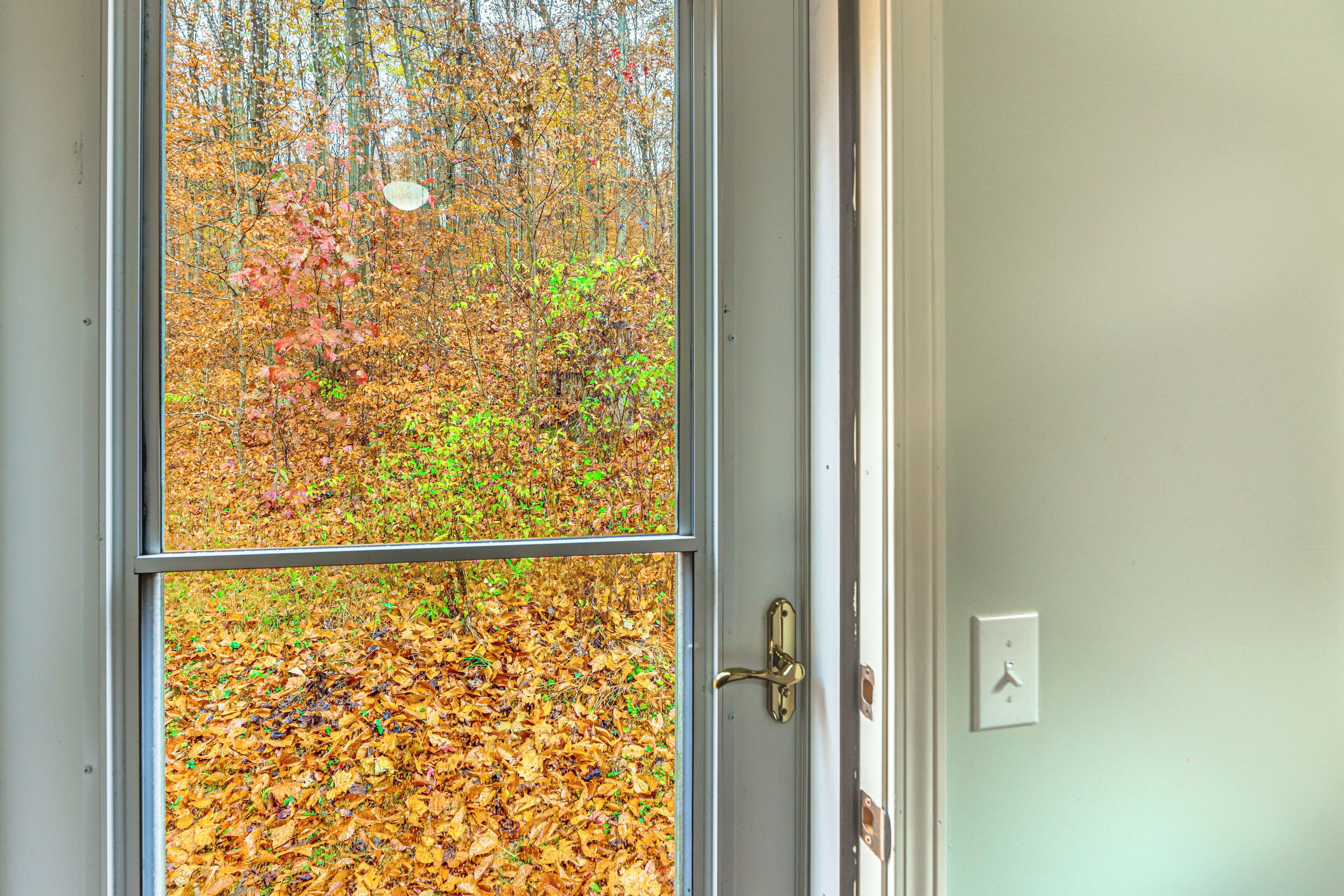 A door with a view of autumn leaves through a window.