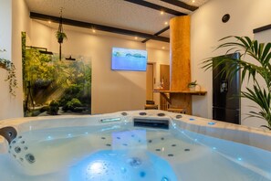 Interior - Tropical Wellness Suite Sauna, whirlpool, TV, BBQ (Büdesheim)