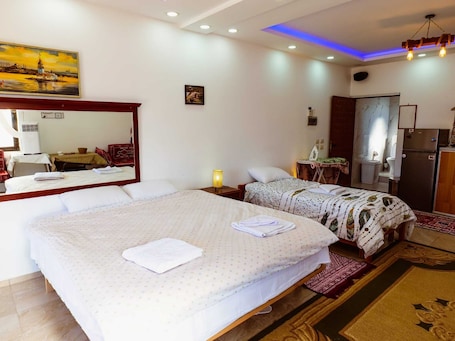 1 bedroom, free WiFi, bed sheets. Your Cozy Guesthouse by Ohrid
