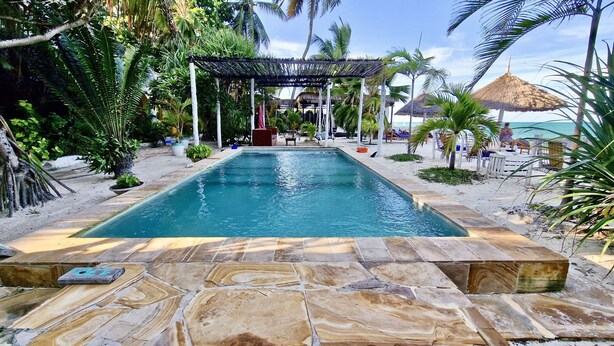 A rectangular pool with stone tiles, surrounded by palm trees and a thatched-roof structure. - Coconut romantic Double Room (Jambiani)