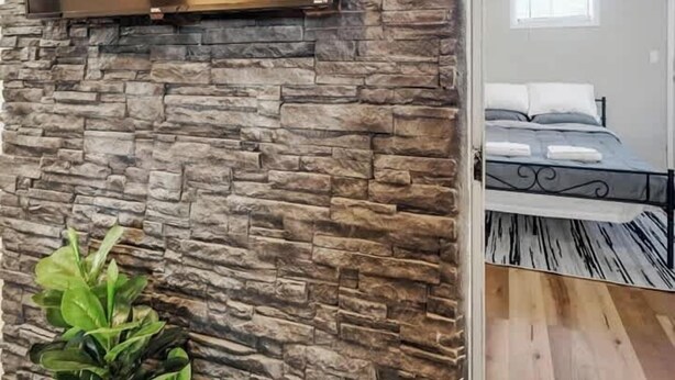 Une pièce avec un mur en pierre, un téléviseur à écran plat fixé au mur et une plante en pot.