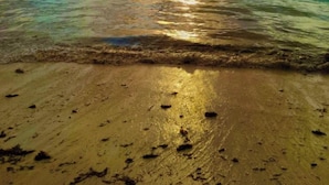Une plage à l’eau claire, un rivage sablonneux et un coucher de soleil en arrière-plan.