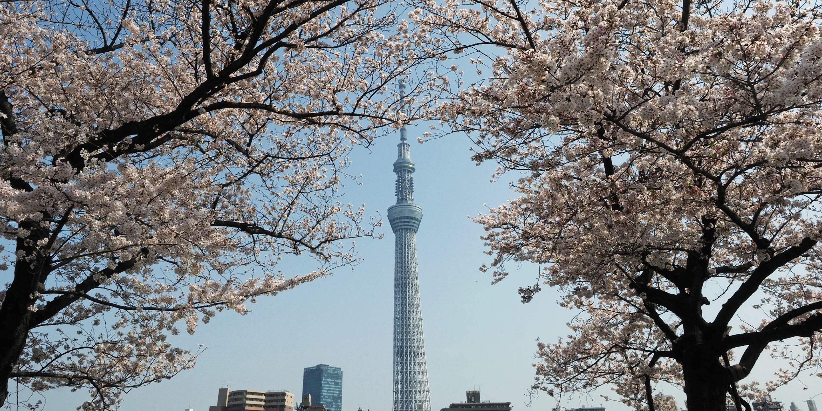 A tower with a spherical observation deck, surrounded by trees with white blossoms.