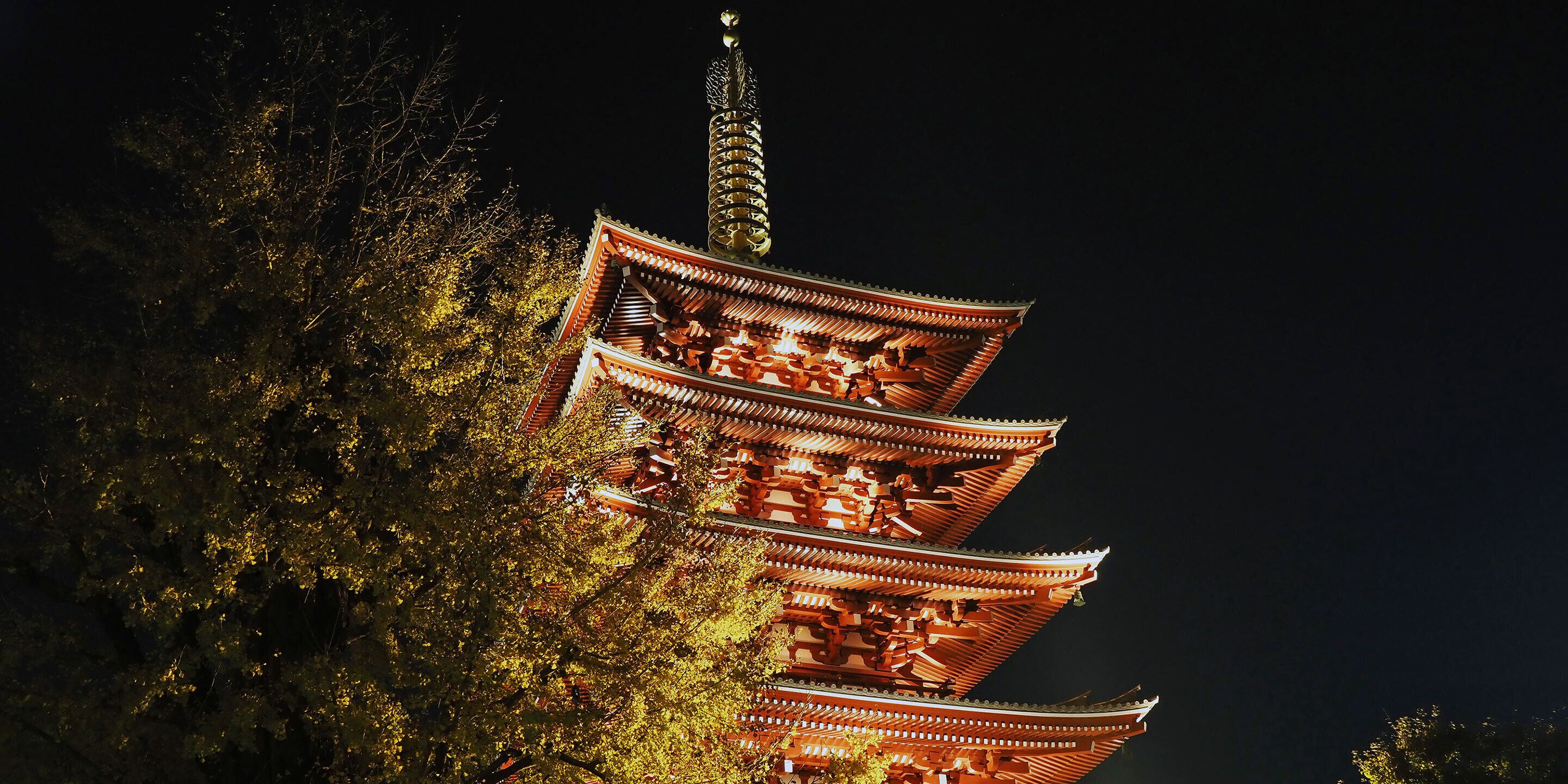 A multi-tiered pagoda-style building with intricate architectural details, illuminated at night.